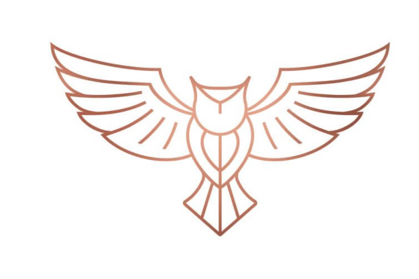 Verolift logo